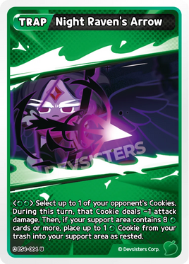 Night Raven's Arrow